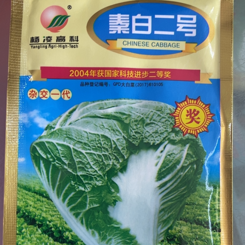【正宗】秦白二号白菜种子杨凌高科出品矮桩叠抱65天