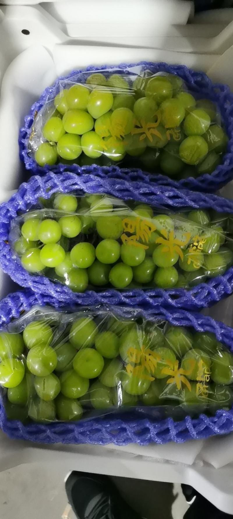 精品库存陕西阳光玫瑰葡萄价格走势阳光玫瑰葡萄批发行情