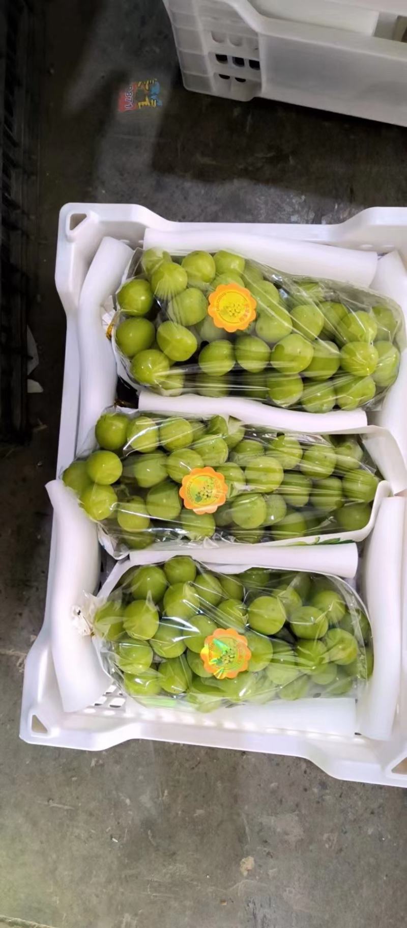 精品库存陕西阳光玫瑰葡萄价格走势阳光玫瑰葡萄批发行情