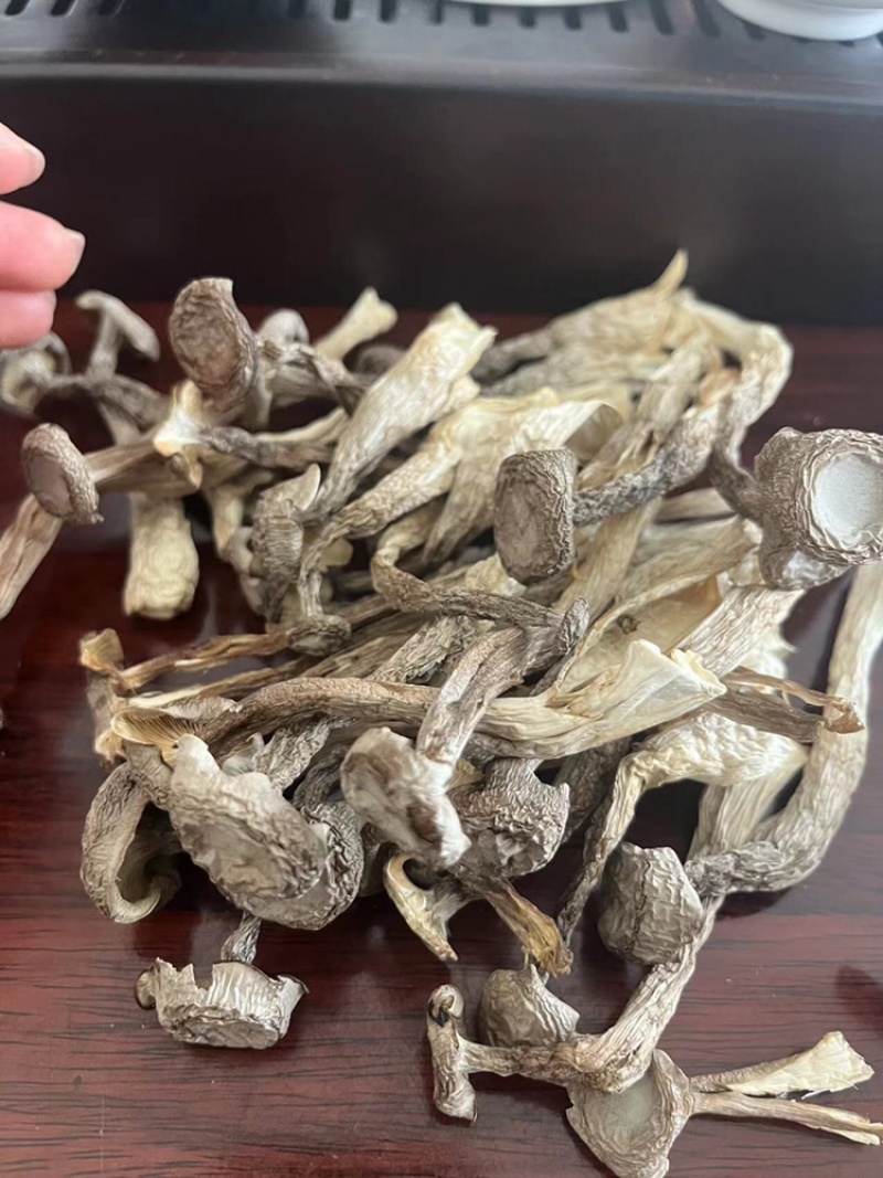 鹿茸菇味道鲜美老少皆宜有现货
