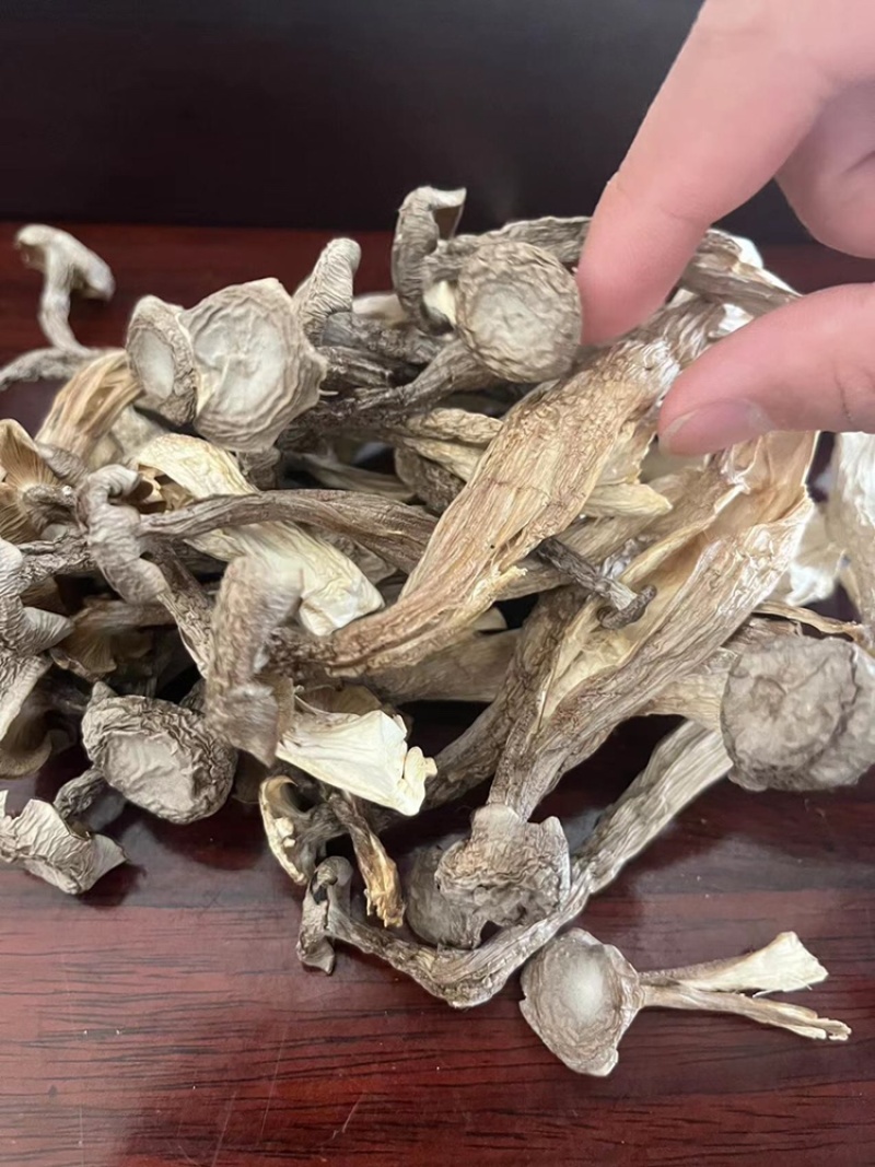 鹿茸菇味道鲜美老少皆宜有现货
