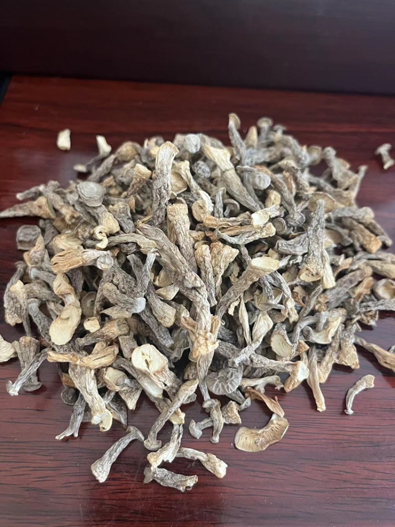 鹿茸菇味道鲜美老少皆宜有现货