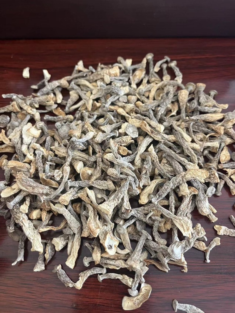 鹿茸菇味道鲜美老少皆宜有现货