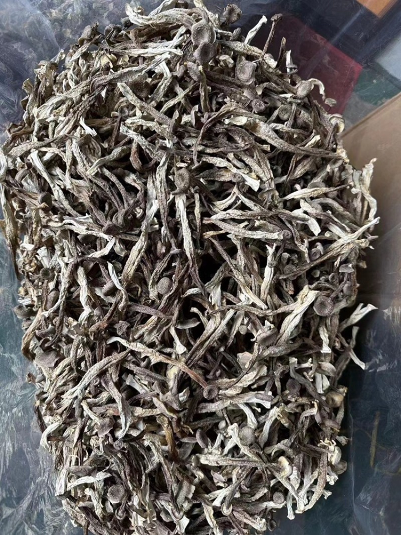 鹿茸菇味道鲜美老少皆宜有现货