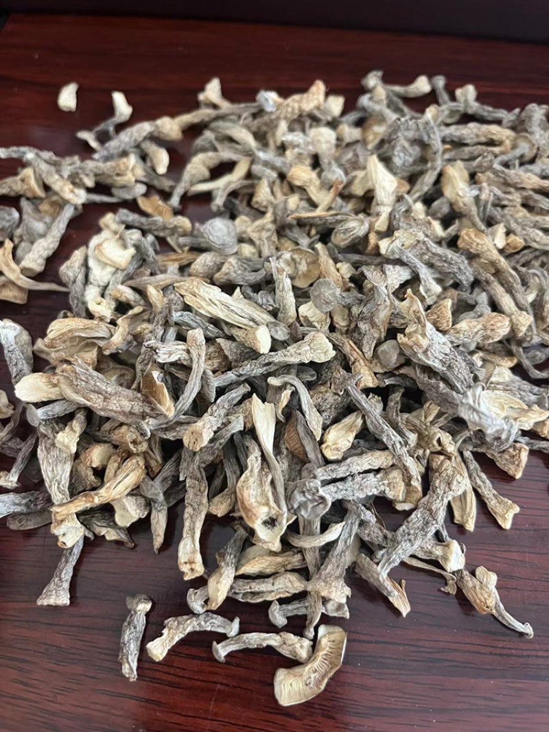 鹿茸菇味道鲜美老少皆宜有现货