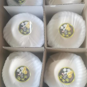 山东冠县丰水梨脆甜多汁耐运输，六两起步，七两起步，八两起