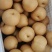 山东冠县丰水梨脆甜多汁耐运输，六两起步，七两起步，八两起