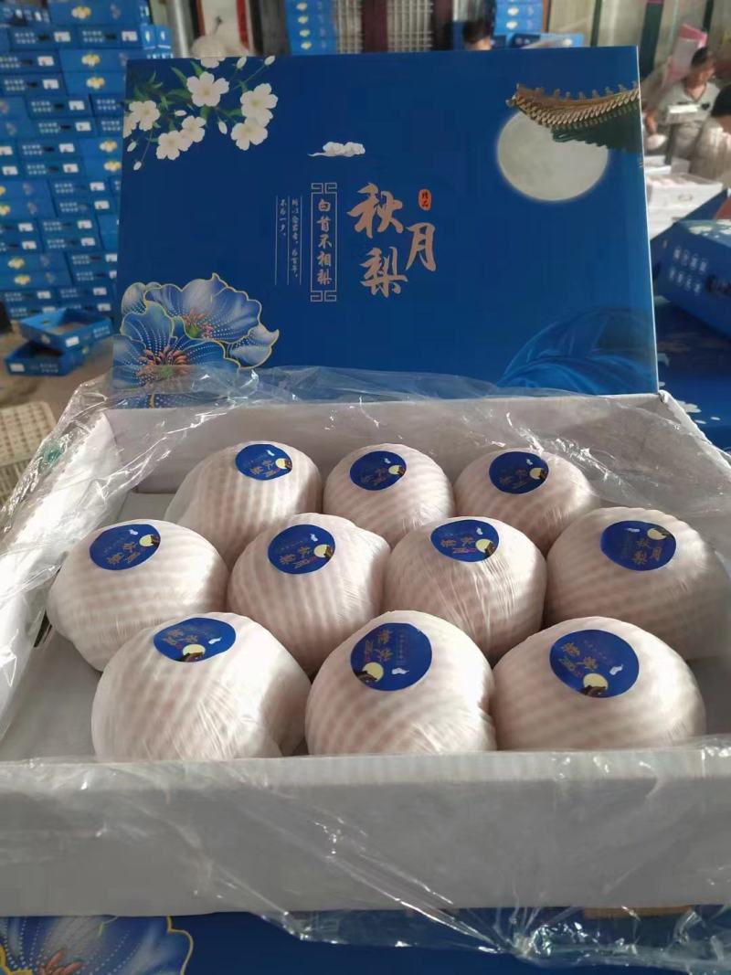 山东冠县丰水梨脆甜多汁耐运输，六两起步，七两起步，八两起