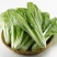 山东精品小白菜，货源充足，量大从优，全国发货，欢迎咨询