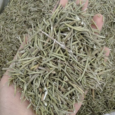 批发迷迭香新货迷迭香香料小叶迷迭香迷迭香粉西餐调料产