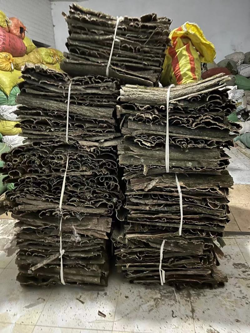 杜仲皮拉丝好贵州杜仲干皮产地货源大货供应