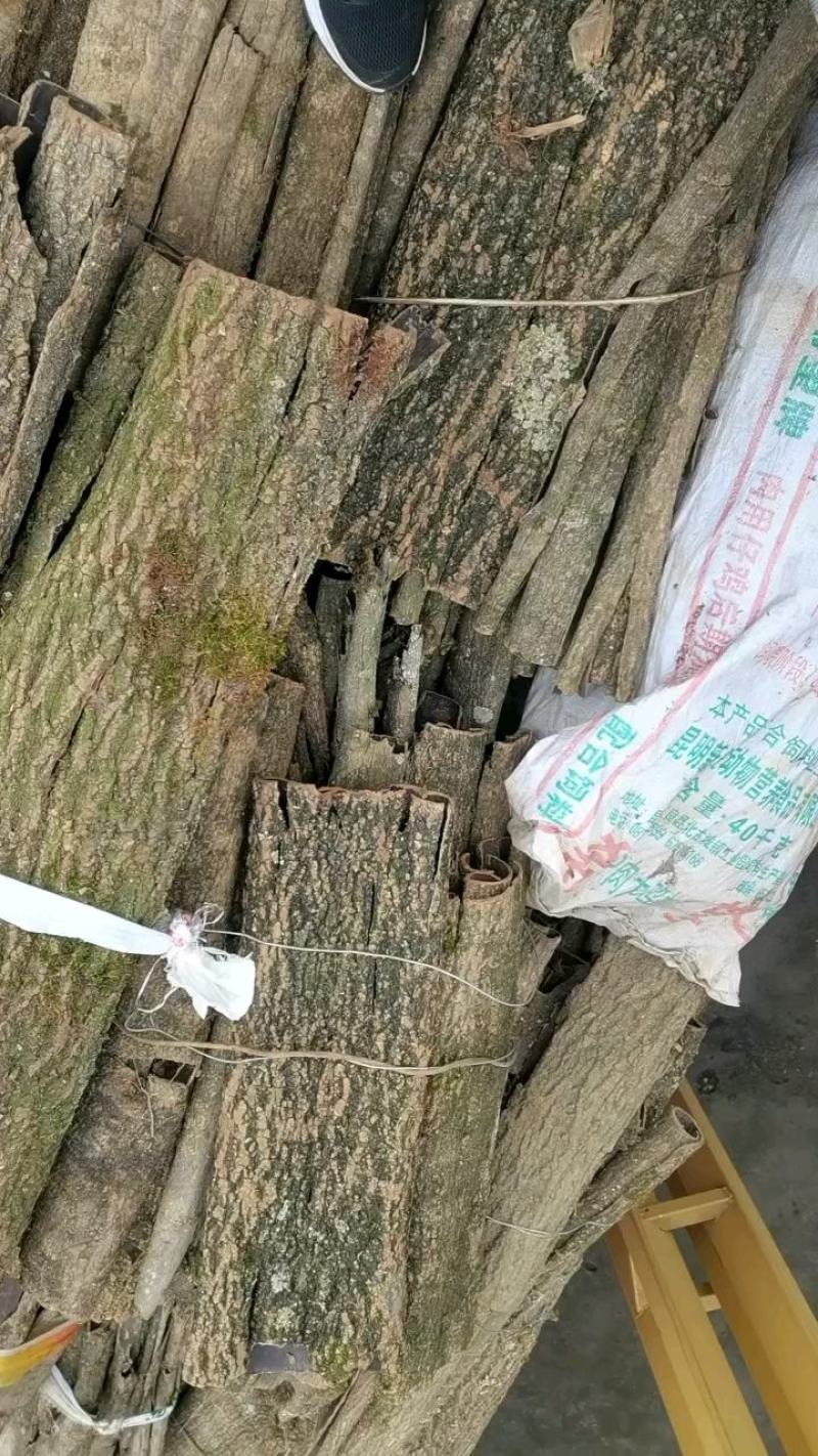 杜仲皮拉丝好贵州杜仲干皮产地货源大货供应