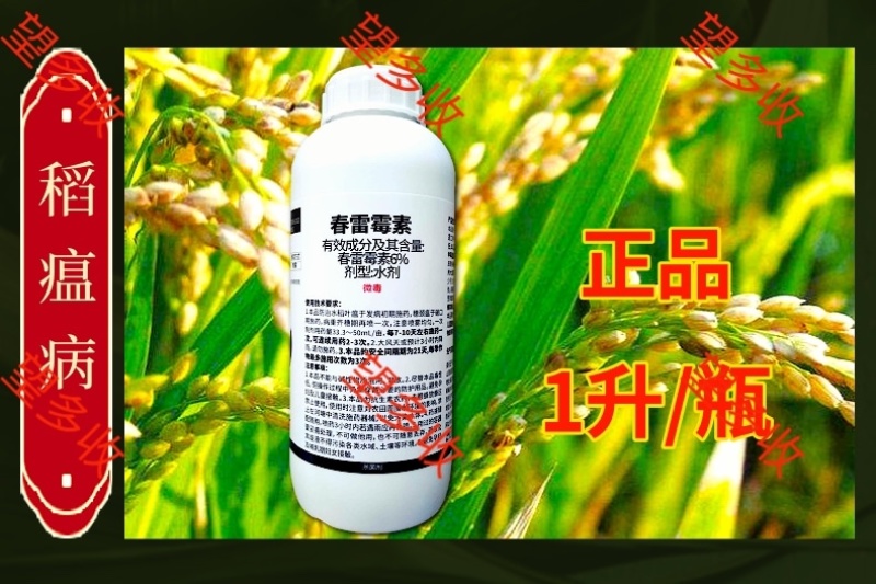 6%春雷霉素杀菌剂溃疡病稻瘟病真细菌病害农用高含量