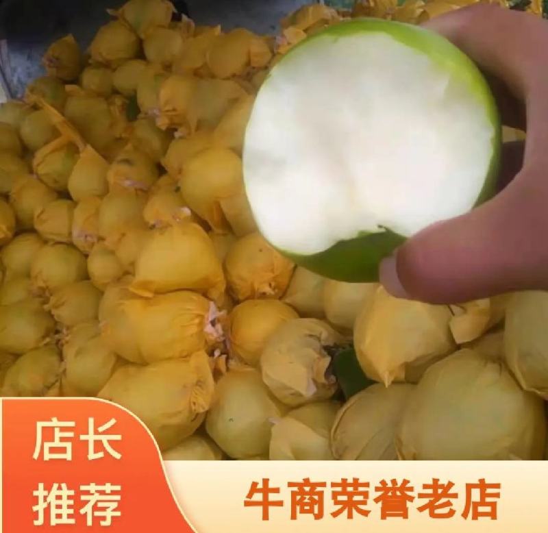 砀山苏翠一号梨，大量上市，口感好含糖量高，欢迎老板合作