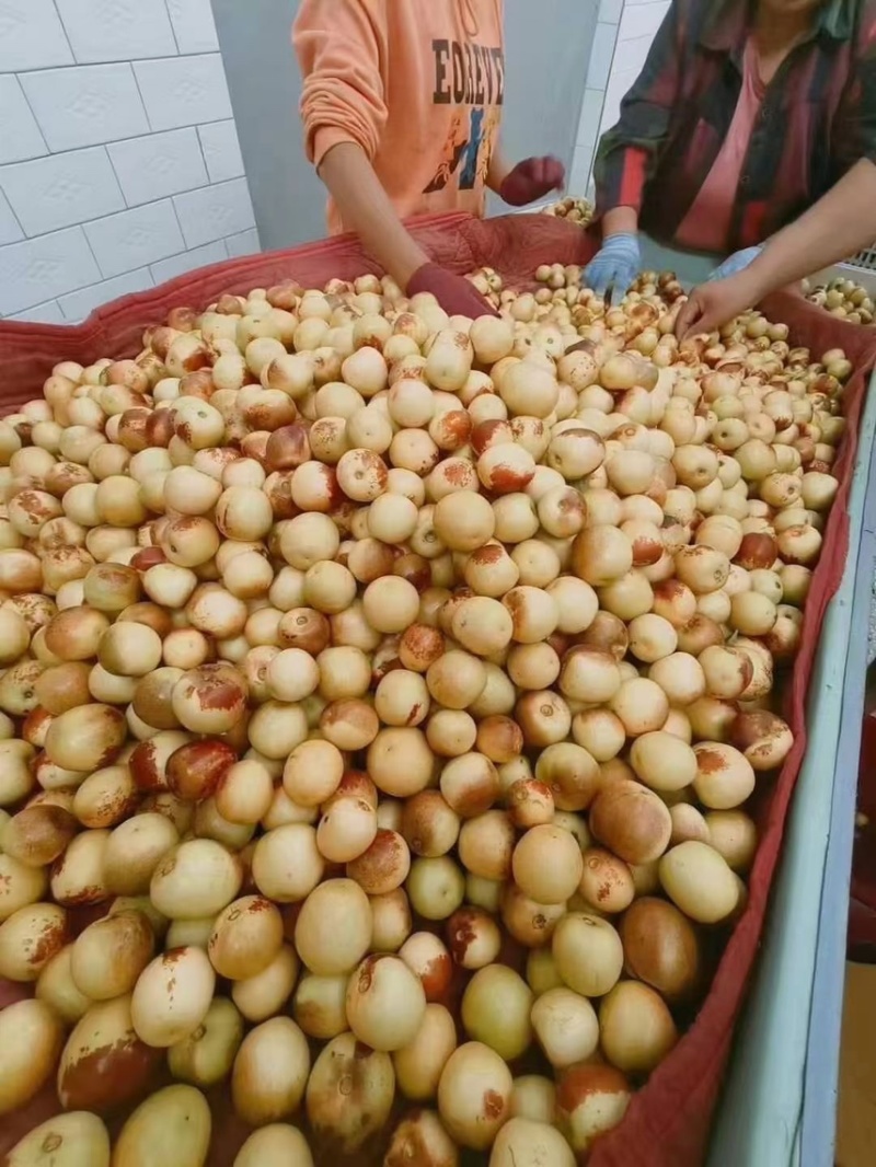 大荔冬枣，产业链一条龙服务，支持一件代发对接各种产业