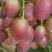 早紫5。巨星7一级。头茬上市！！