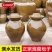 商用四川泡菜坛子土陶老式瓦罐陶瓷家用咸菜缸大号腌菜酸菜专