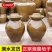商用四川泡菜坛子土陶老式瓦罐陶瓷家用咸菜缸大号腌菜酸菜专
