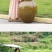 商用四川泡菜坛子土陶老式瓦罐陶瓷家用咸菜缸大号腌菜酸菜专