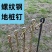 地钉栓牛羊马拴狗大型犬橛子大棚钉草坪钉螺纹钢帐篷钉地锚固