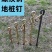 地钉栓牛羊马拴狗大型犬橛子大棚钉草坪钉螺纹钢帐篷钉地锚固