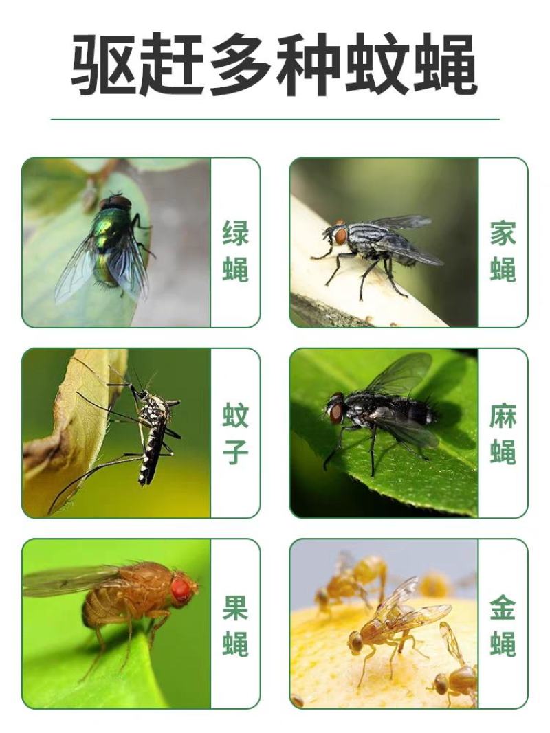 超声波驱蚊虫神器室内除苍蝇香无味一闻死户外专业灭杀蚊子终