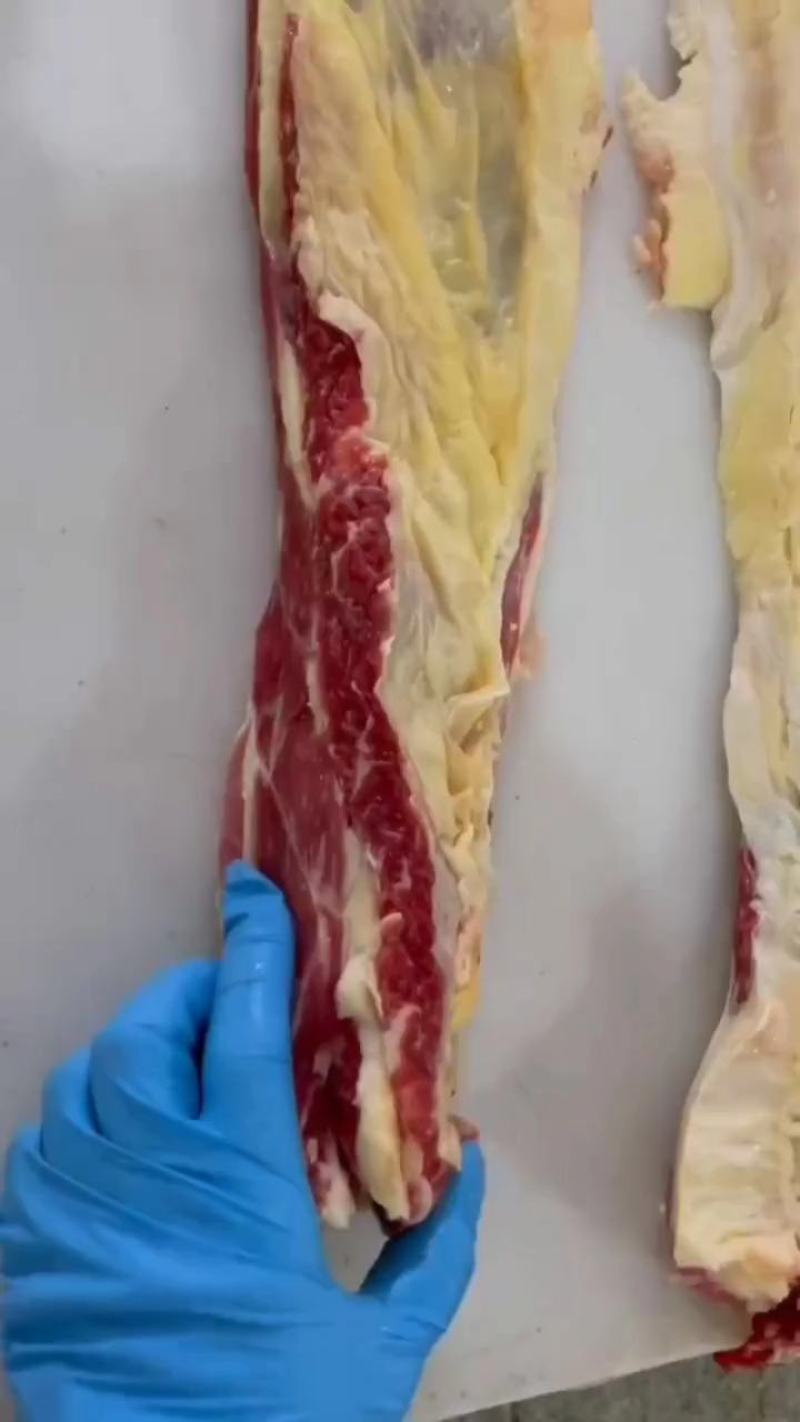 河北廊坊牛腩三河2号筋、俗称牛腩边大量供应量大价可谈