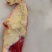 河北廊坊牛腩三河2号筋、俗称牛腩边大量供应量大价可谈