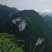 黄柏20吨恩施黄柏鄂西大山深处原生态老黄柏