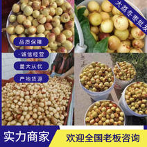 大荔冬枣，产业链一条龙服务，支持一件代发对接各种产业