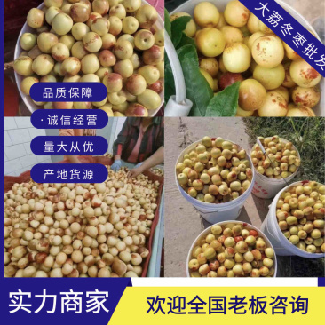 大荔冬枣,产业链一条龙服务,支持一件代发对接各种产业