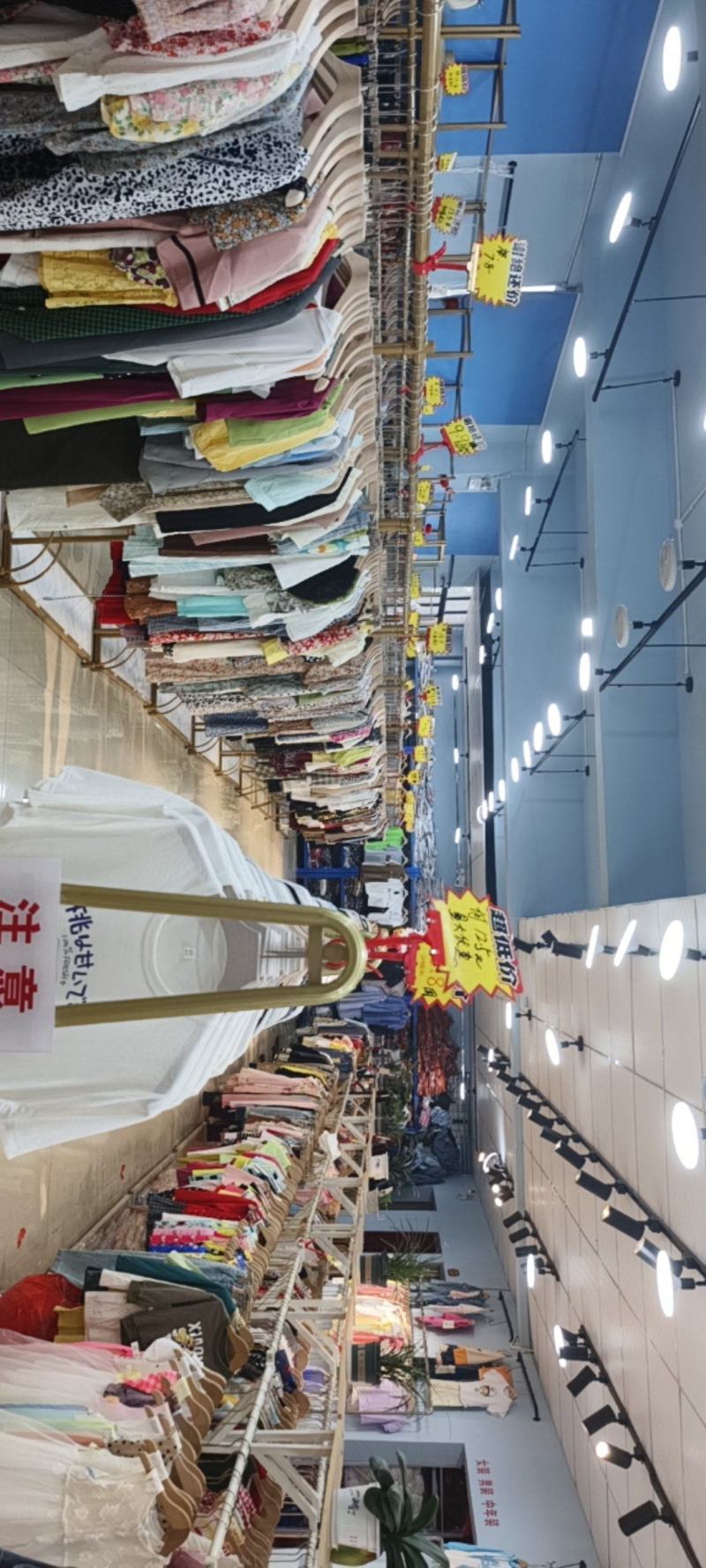 纯棉体桖