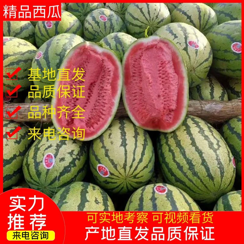 金城5宁夏硒砂瓜、石头瓜全国代发对接市场电商平台
