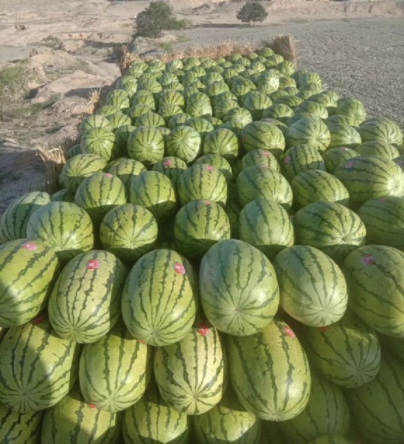 【甄选】精品宁夏硒砂瓜石头瓜产地大量接单欢迎来电洽谈