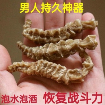 顶天柱不老草硬的快云南野生持久泡茶泡酒料配