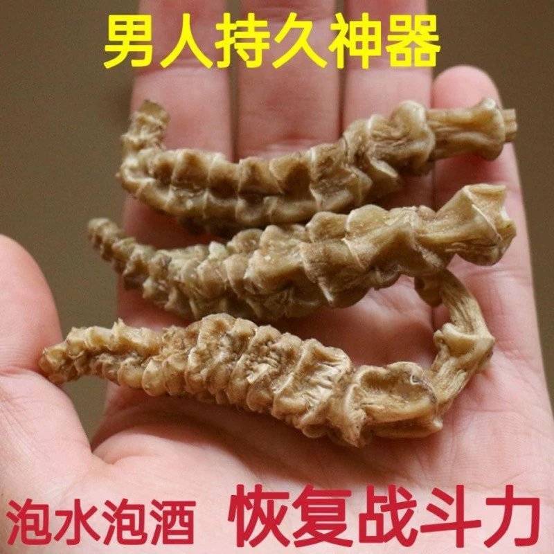 顶天柱不老草硬的快云南野生持久泡茶泡酒料配