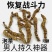 顶天柱不老草硬的快云南野生持久泡茶泡酒料配