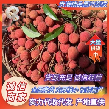 广西平南黑叶荔枝，纯甜无酸，皮薄肉多，籽小肉厚供电商