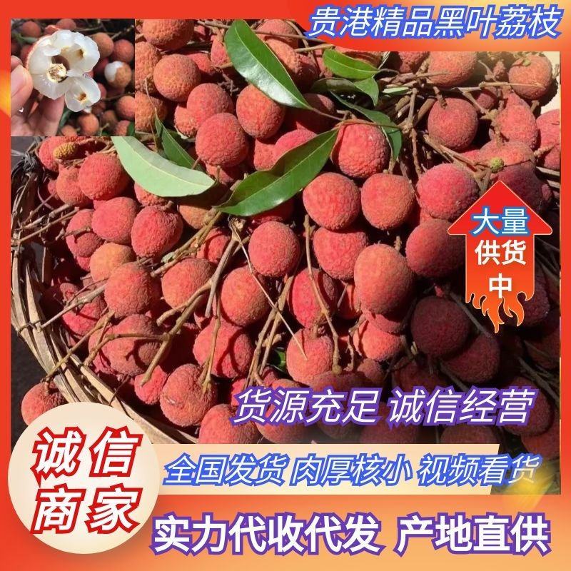 广西平南黑叶荔枝，纯甜无酸，皮薄肉多，籽小肉厚供电商