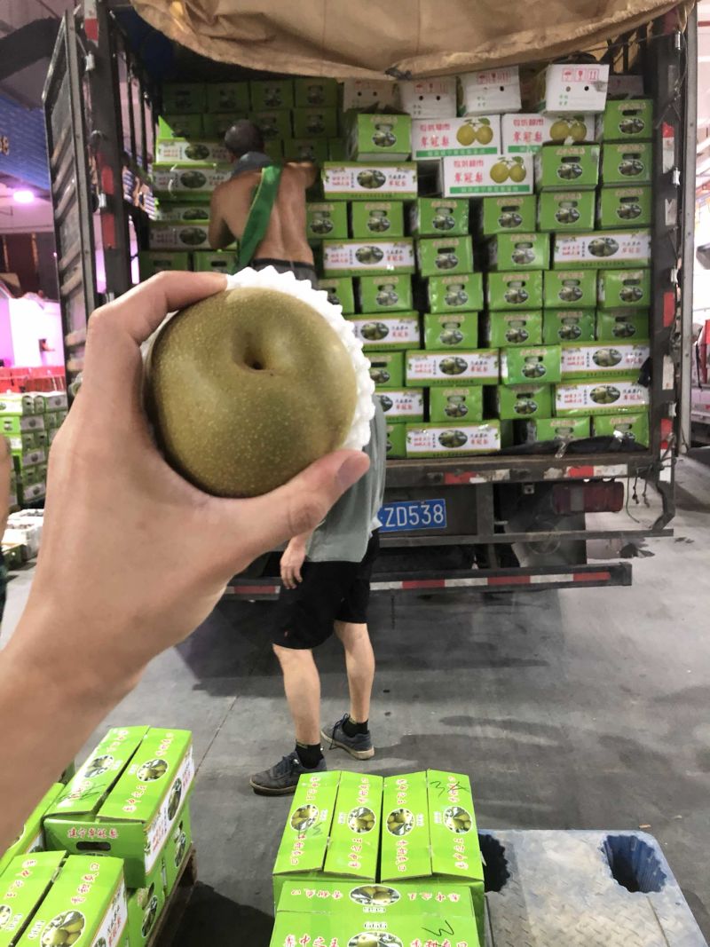 粤东江南市场档口常年承接各类水果代卖、欢迎洽谈！