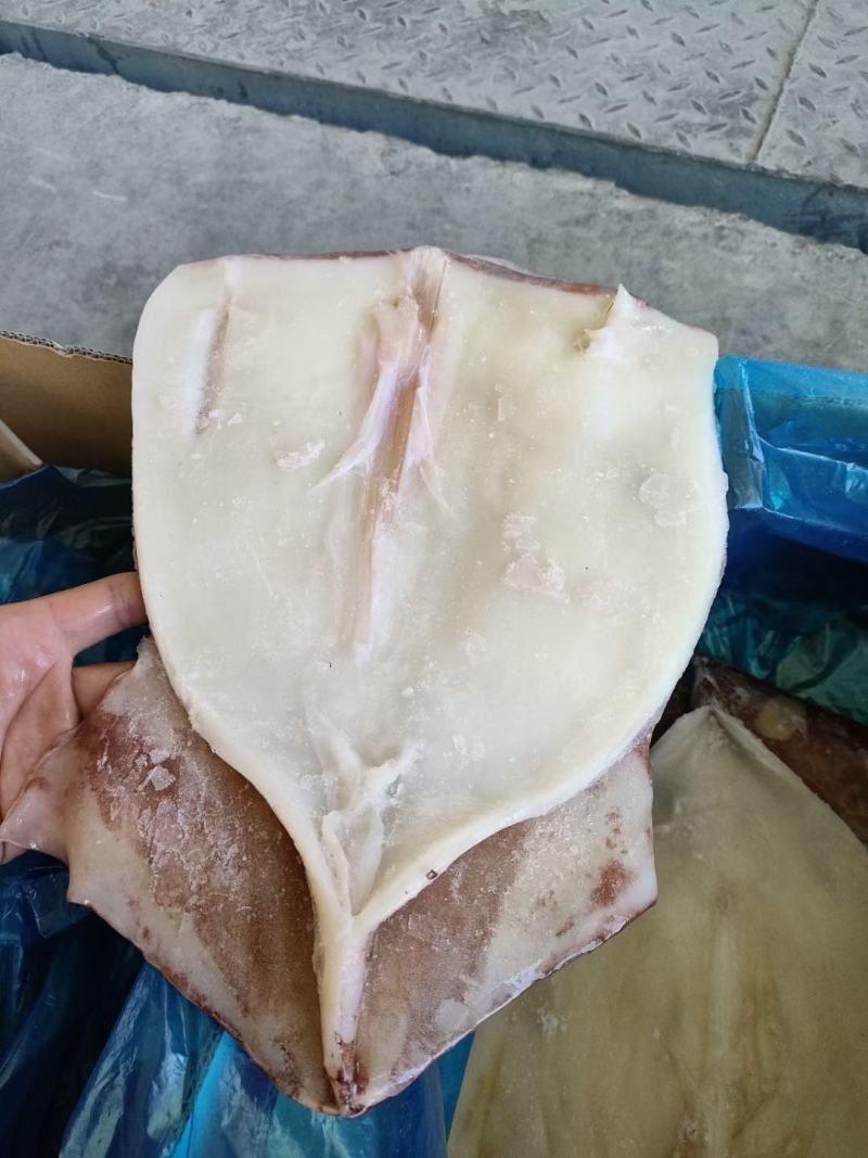 鱿鱼鱿鱼片去头单冻整箱6.5斤4片装今年新货