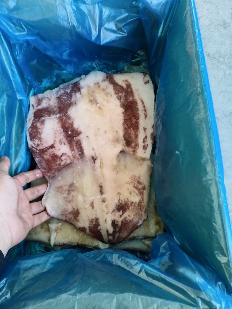 鱿鱼鱿鱼片去头单冻整箱6.5斤4片装今年新货