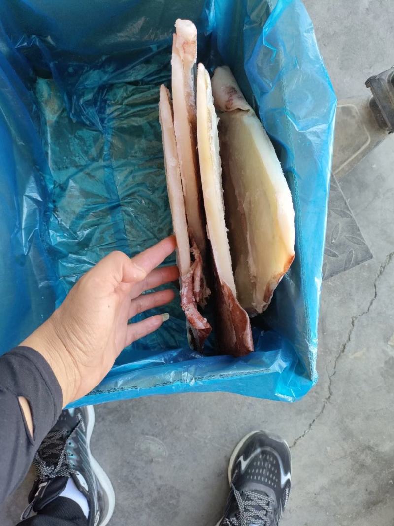 鱿鱼鱿鱼片去头单冻整箱6.5斤4片装今年新货