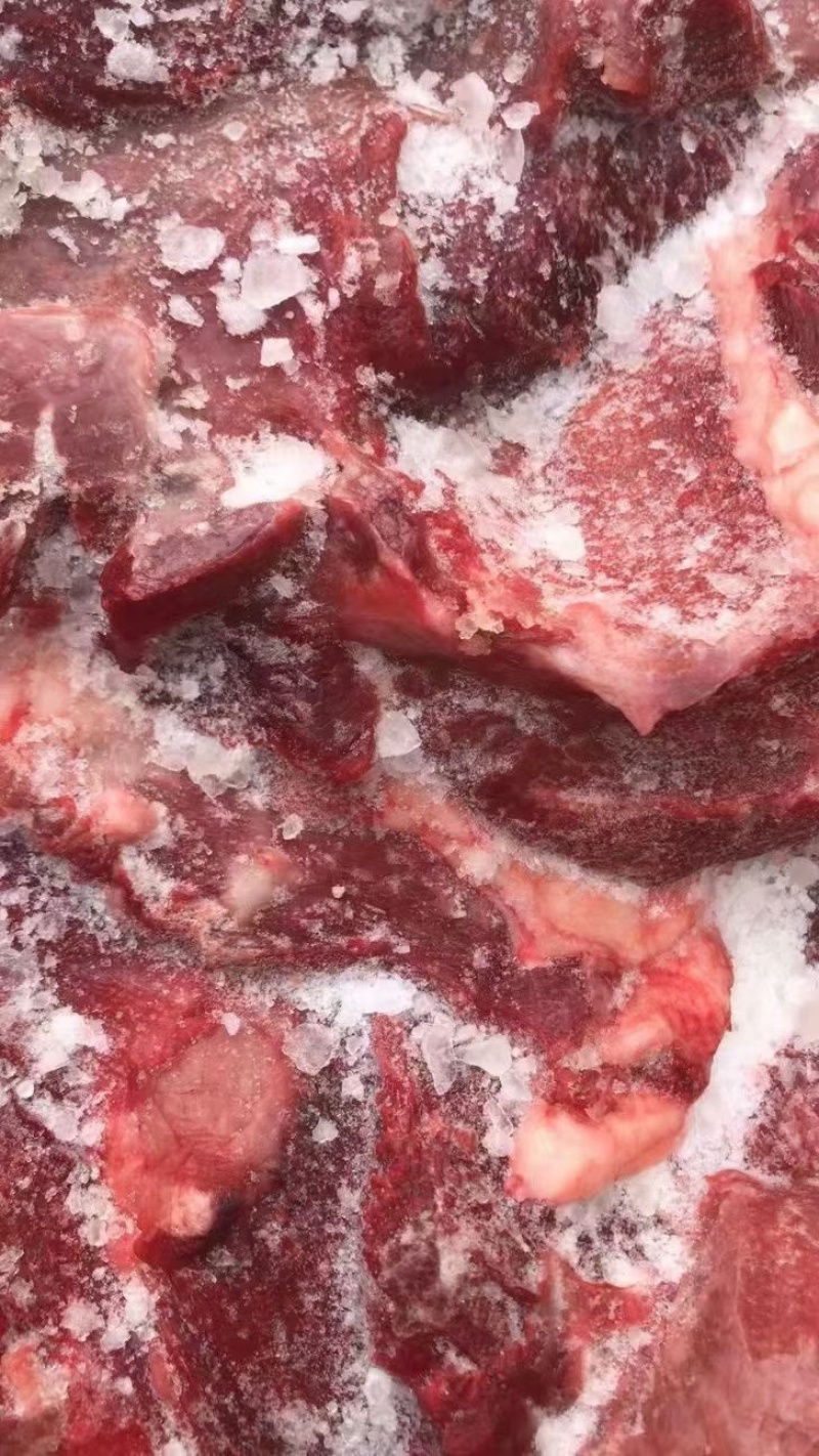 牛肉純干国产冻牛肉瘦牛肉价格不高！