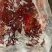 牛肉純干国产冻牛肉瘦牛肉价格不高！