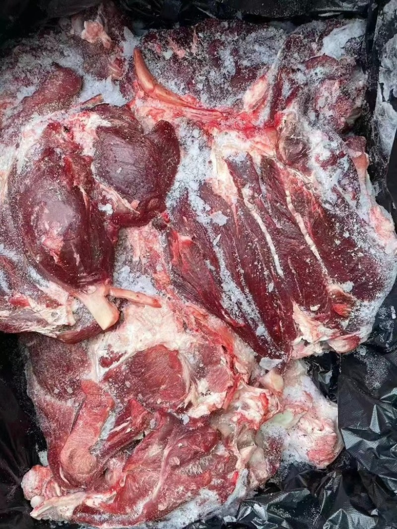 牛肉純干国产冻牛肉瘦牛肉价格不高！