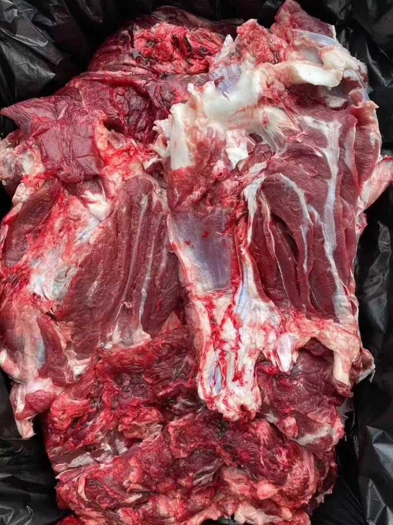 牛肉純干国产冻牛肉瘦牛肉价格不高！