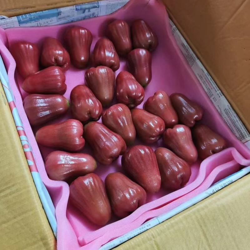 海南莲雾黑金刚产地包园代办全国批发市场档口社区团购