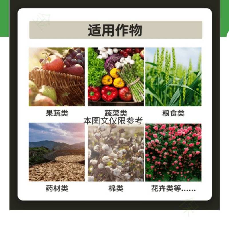 上海悦联25%甲霜灵霜霉威黄瓜霜霉病葡萄早晚疫病杀菌剂