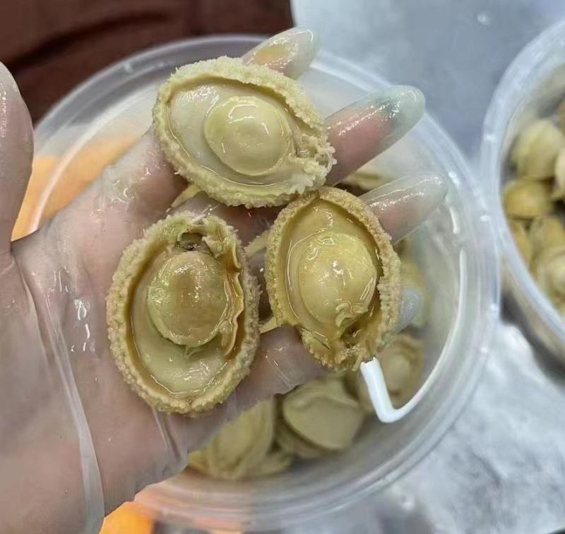 大连鲍鱼鲍心紧，新鲜鲍鱼晒干泡发粒粒新鲜，泡发率好口感好